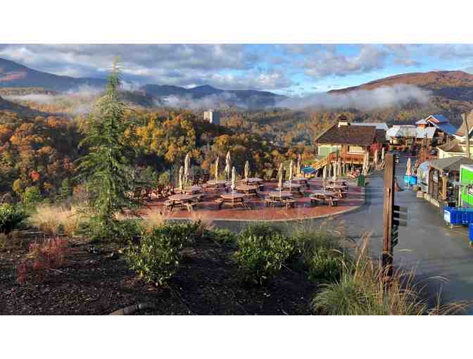 Anakeesta 'there's magic in the mountains' Admission Pass for (4)