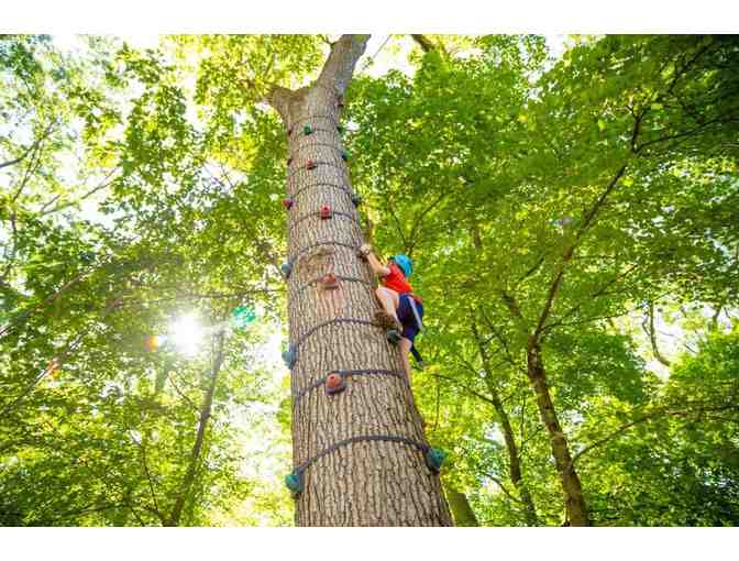 The Nature Place Day Camp - One Week of Camp