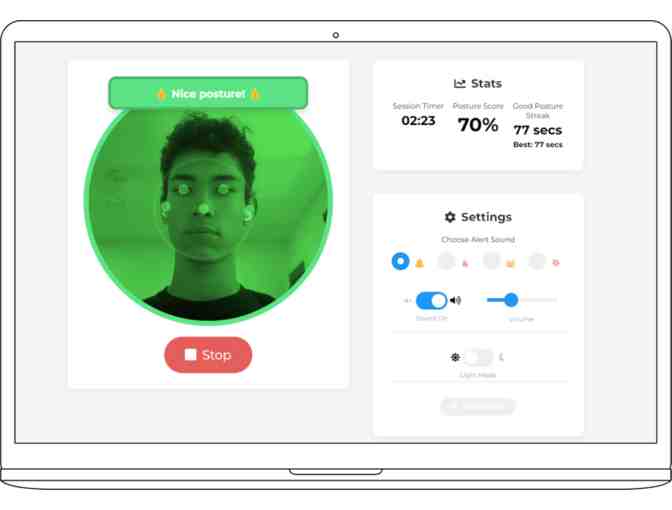 Postura - One Year Pro Subscription #2