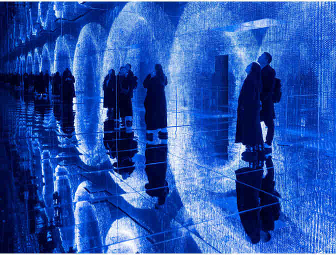 Mercer Labs - 4 tickets