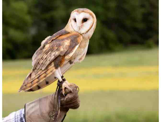 Overnight Stay at the Woodstock Inn, Woodstock, VT