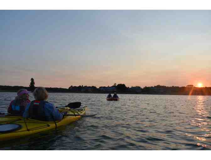 2 Wildlife Kayak Tour Tickets