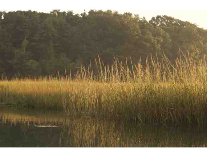 2 Wildlife Kayak Tour Tickets