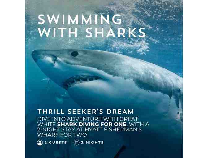 Great White Shark Diving for (1) with a 2-night Stay at Hyatt Fishermans Wharf for (2) - Photo 1