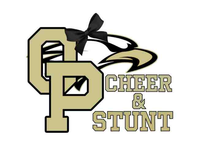 OPHS Cheer - 1 hour group lesson & The Cheerleading Trivia Game Book