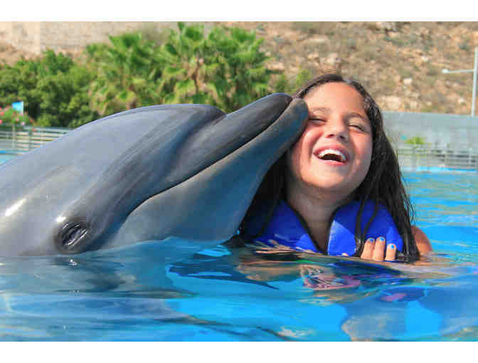 Dolphin Signature swim at Dolphin Discovery for 2 persons (cert.1)