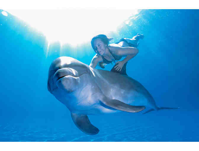 Dolphin Signature swim at Dolphin Discovery for 2 persons (cert.2)