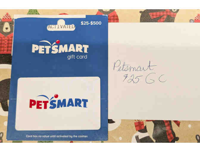 SANTA NEVER FORGETS THE CAT! WITH GIFT CARD