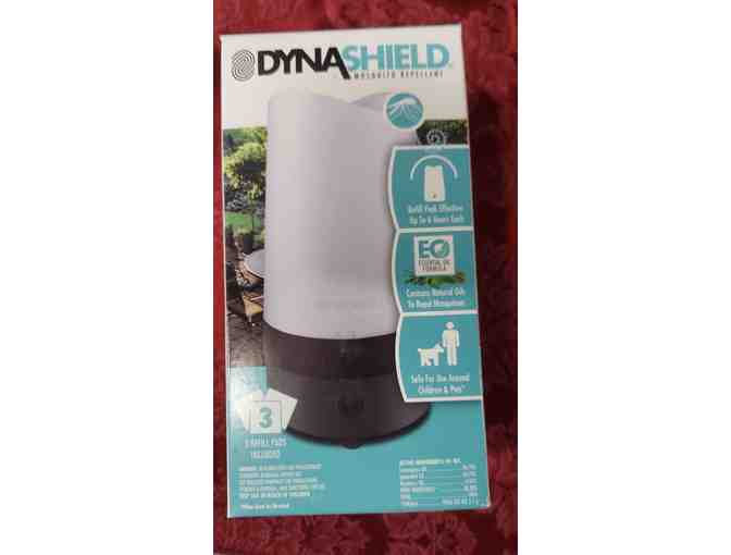 A COZY OUTDOOR EVENING