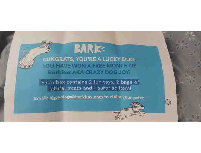 DOG JOY WITH BARKBOX!