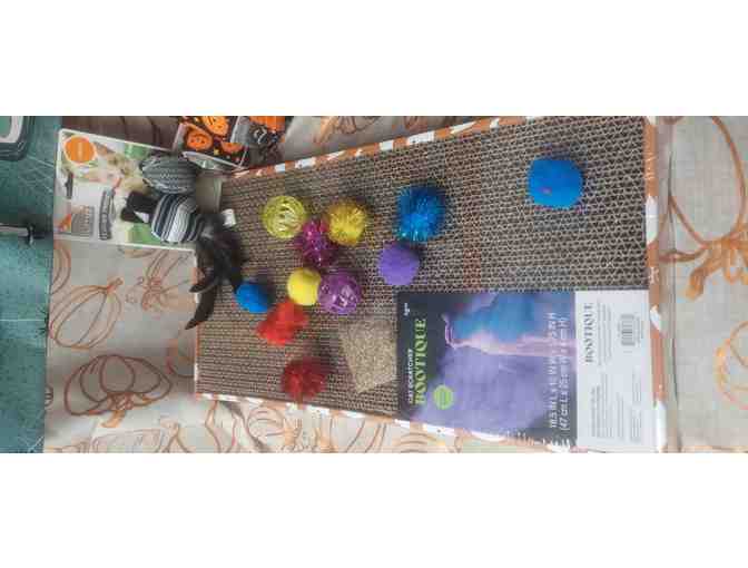 HAPPY HALLOWEEN KITTIES!