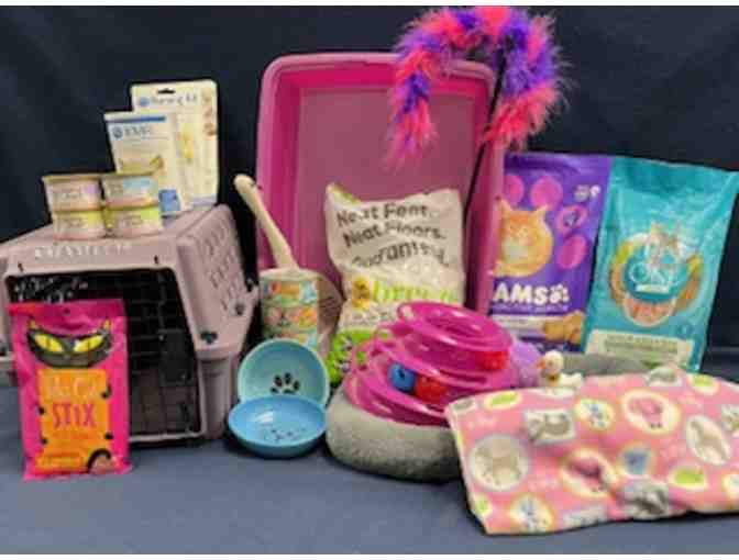 BE A HERO- BECOME A LIFELINE FOR KITTENS AND CATS IN NEED!