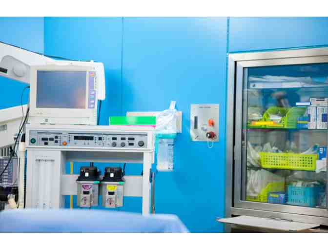 BE A HERO- HELP US SAVE LIVES! - ONE SURGERY AT A TIME!