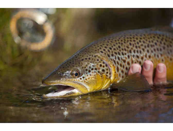 Falcon's Ledge - Utah's Premier Fly Fishing and Pheasant Hunting Lodge - 3 Night Package - Photo 2