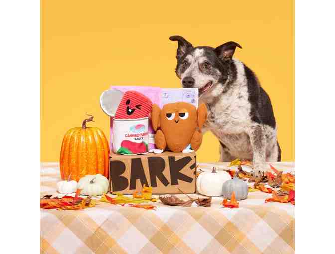 Bark Box 1 Month Subscription Plus Toys and Treats - Photo 2