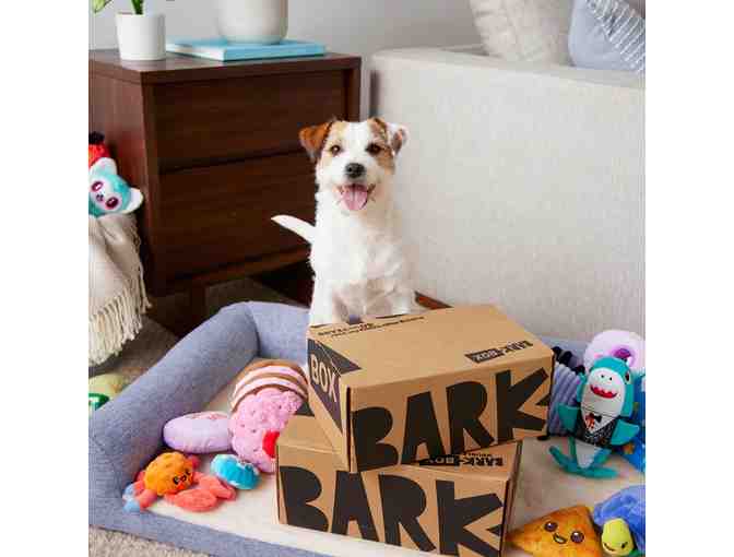 Bark Box 1 Month Subscription Plus Toys and Treats - Photo 3