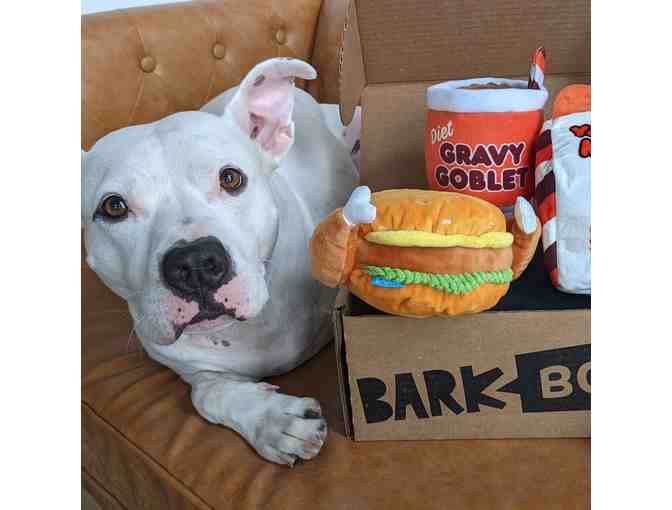 Bark Box 1 Month Subscription Plus Toys and Treats - Photo 4