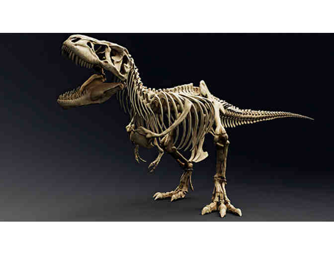 New York City: 2 Nights at 5 Star Hotel, Private Museum Tour - Photo 5