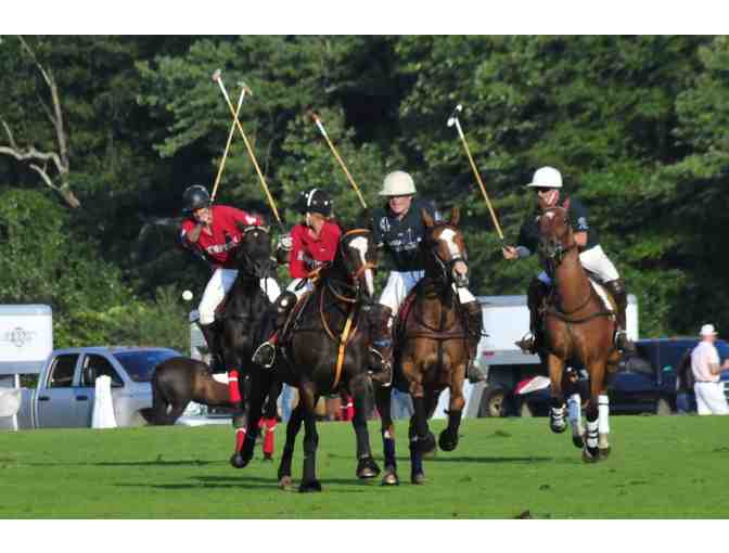 10 Lawn Tickets to a Newport Polo Match