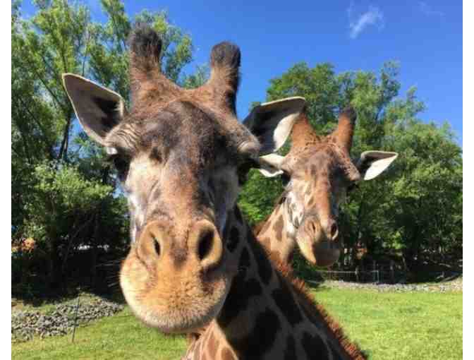 Behind the Scenes Tour with Zoo New England