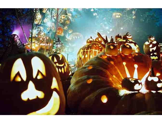 Jack-O-Lantern Spectacular Admission for 8 with Premier Parking (I)