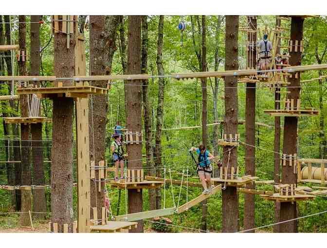 Ropes and Obstacle Courses for Two at TreeTop Adventures