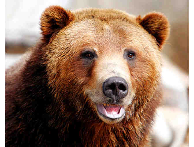 A Family 4-Pack of Tickets to the Denver Zoo