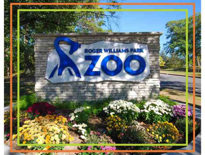 A Behind-the-Scenes VIP Zoo Tour & Private Lunch with the Executive Director