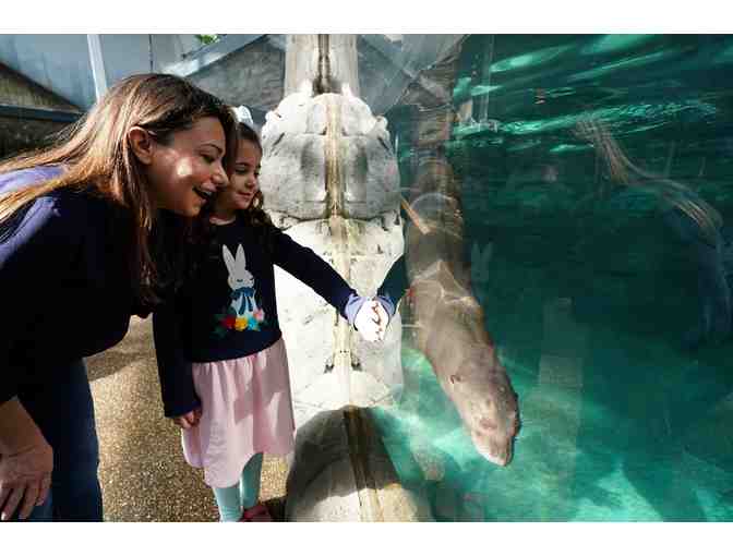 A Behind-the-Scenes VIP Zoo Tour & Private Lunch with the Executive Director