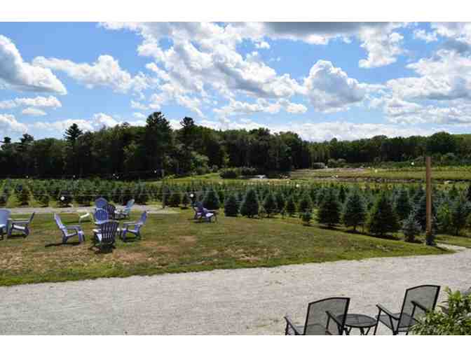 Sip & Stroll at Leyden Farm Vineyard