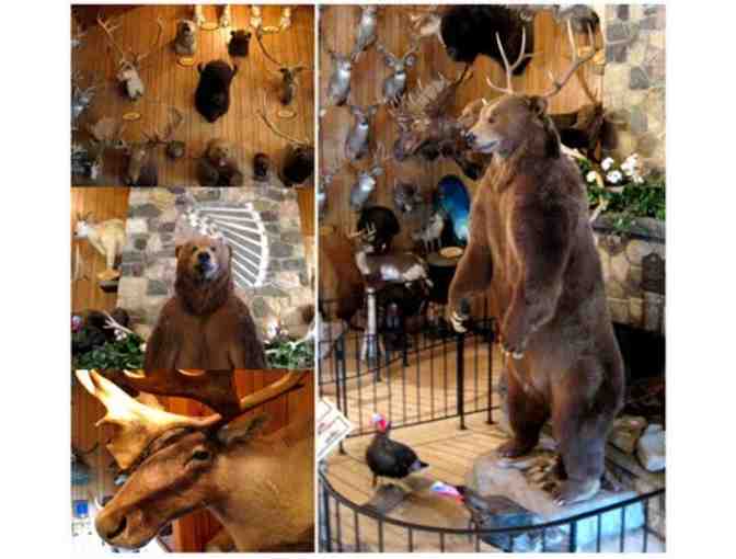 4 Passes to Space Farms and $50 Gift Certificate to Friendly's