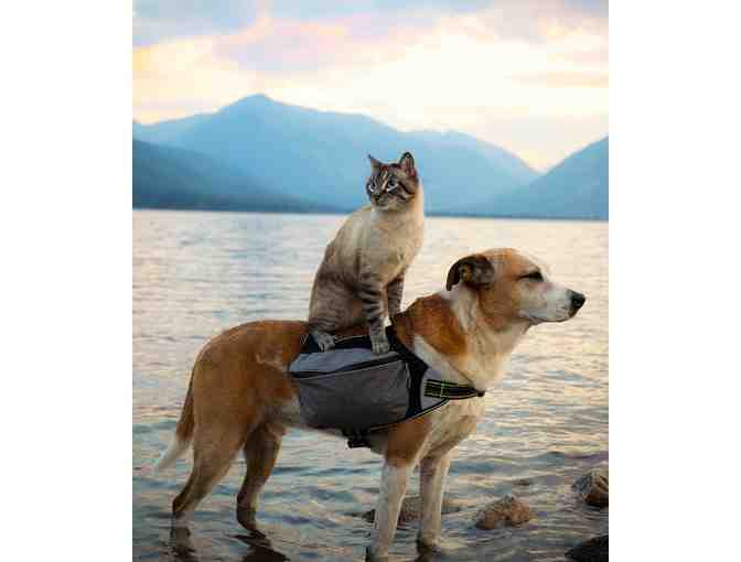 Pet Bag for Dogs and Cats - Photo 1