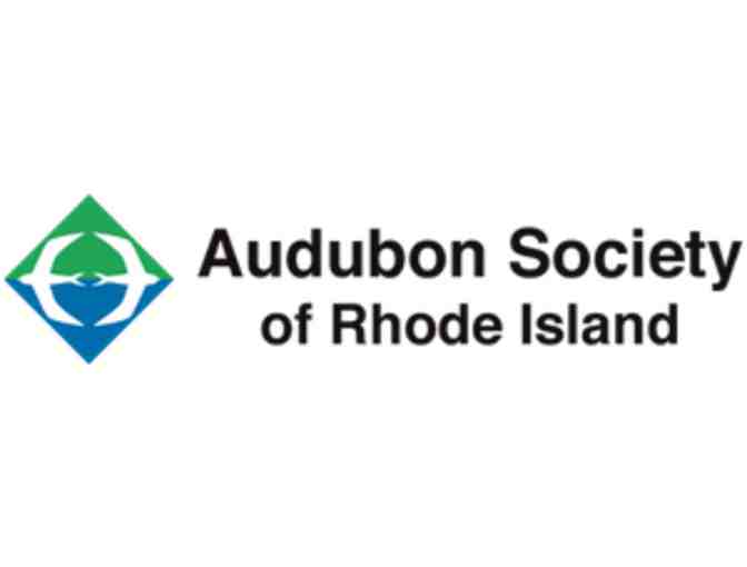 Dining & Fun in Bristol