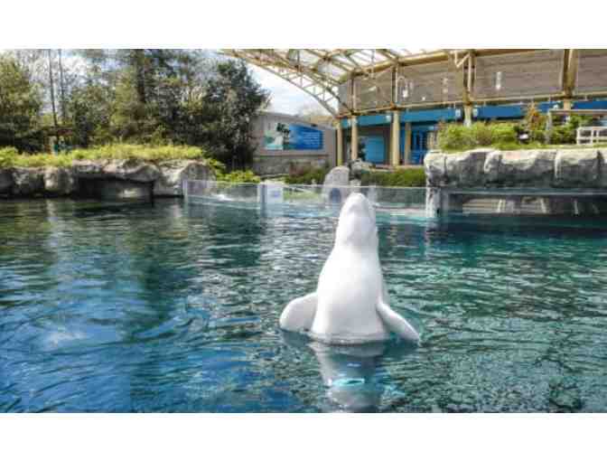 2 Tickets to Mystic Aquarium