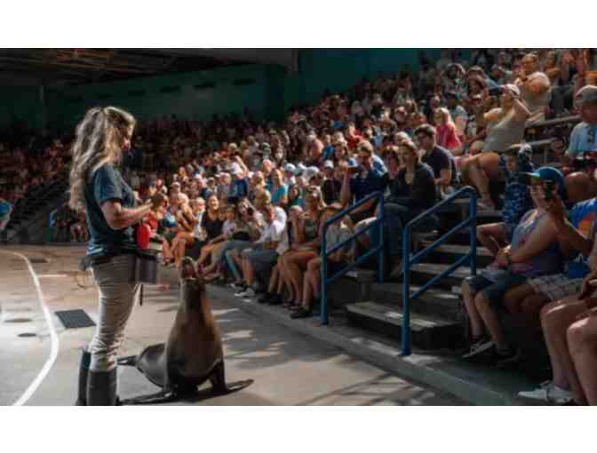 2 Tickets to Mystic Aquarium