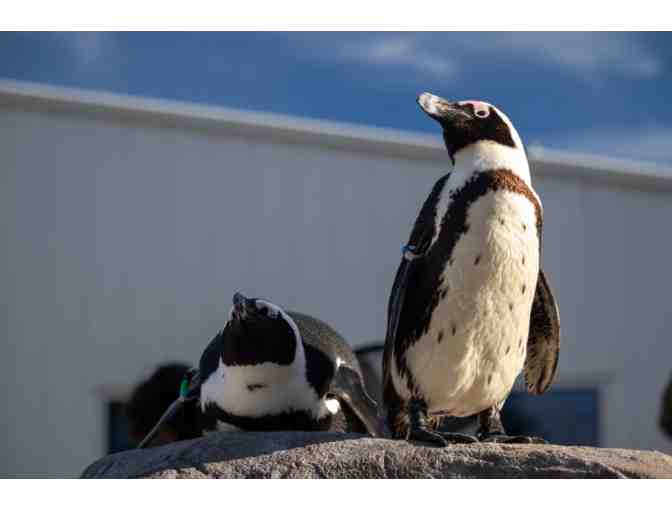 2 Tickets to Mystic Aquarium