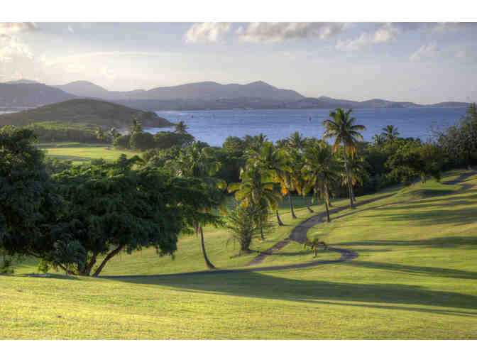 Embrace St. Croix and Escape (US Virgin Islands)* 5 Days for two+snorkeling+tours - Photo 3