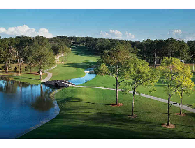 It's Tee Time (Howey in the Hills, FL) * Four days for 2 Resort+ Two rounds of golf+Lesson