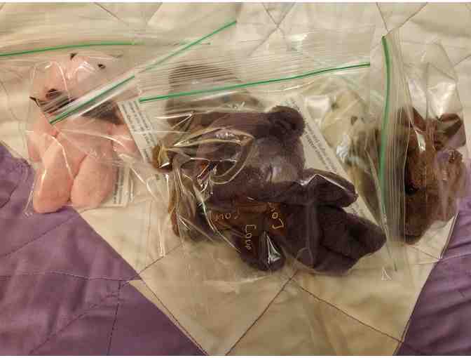 Compassion in Action Bears