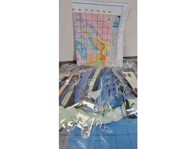 #1 - Dream Catcher Wolf Stamped Cross Stitch Kit