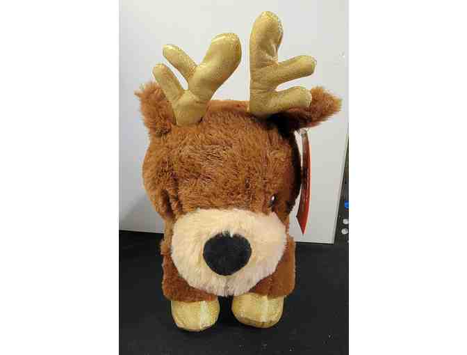 # 20 - Fortune - The Reindeer