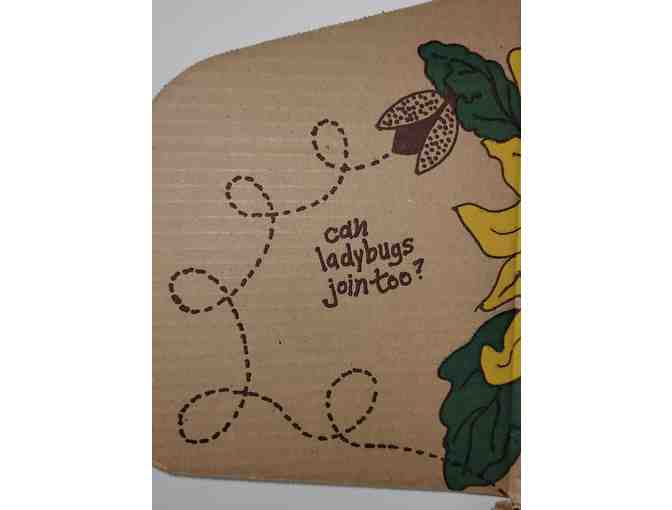 #3 - Boyds Bears - Bloomin' FOB 1999 Membership Kit