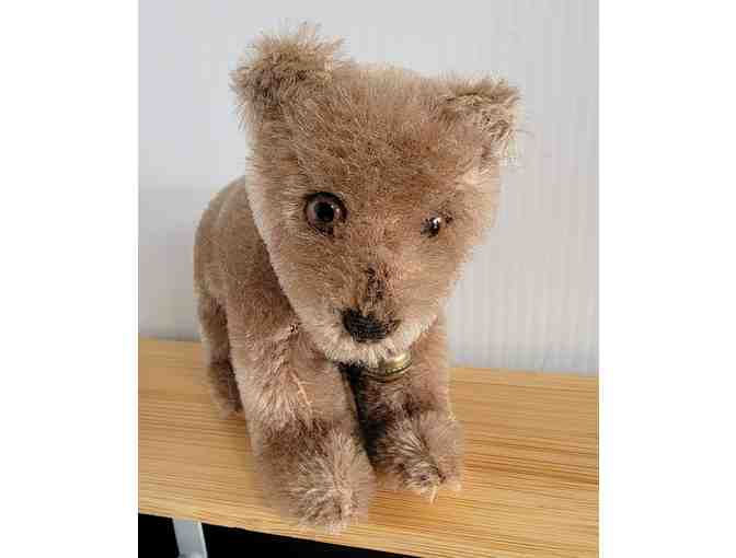 Steiff Walking Bear Cub Jungbaer 1951