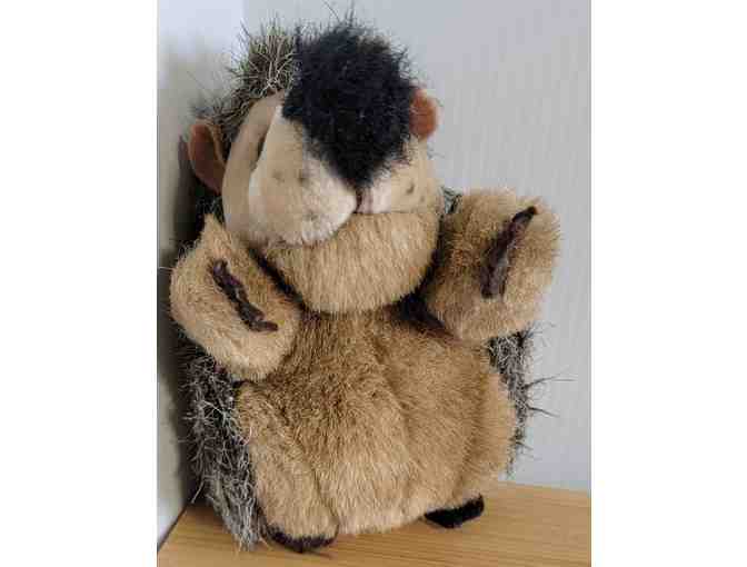 #11 Fred the Hedgehog - 5' Plush Pal Full of Personality
