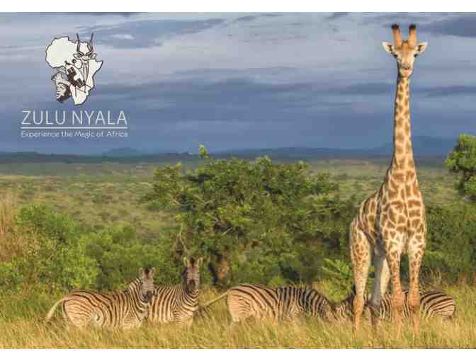 I Dream of Africa: South Africa Photo Safari Package - Photo 1