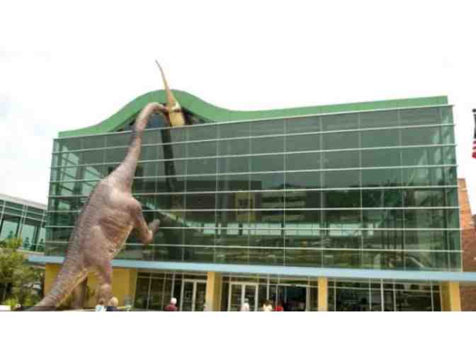 Great Explorations - Saint Petersburg, FL