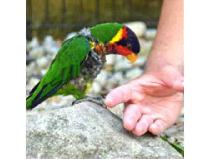 Lehigh Valley Zoo - Schnecksville, PA