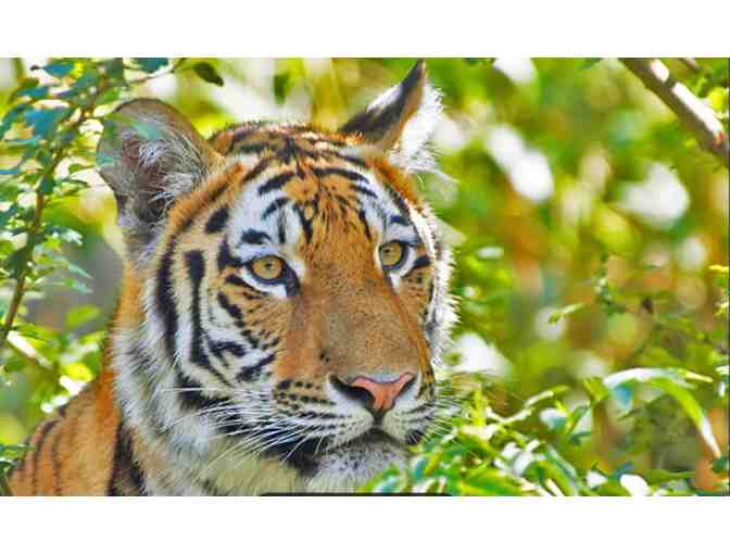 Pittsburgh Zoo and Aquarium - Pittsburgh, PA