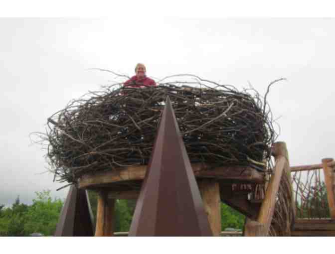 The Wild Center - Tupper Lake, NY