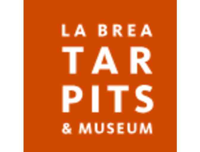 Natural History Museum LA or La Brea Tar Pits - CA